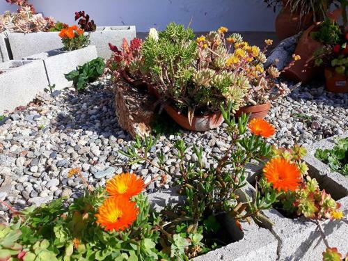 Bed & Breakfast La Dimora Degli Artisti