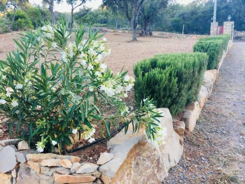 Agroturismo Villa Monte Da Alfarrobeira