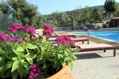 Agroturismo Villa Monte Da Alfarrobeira