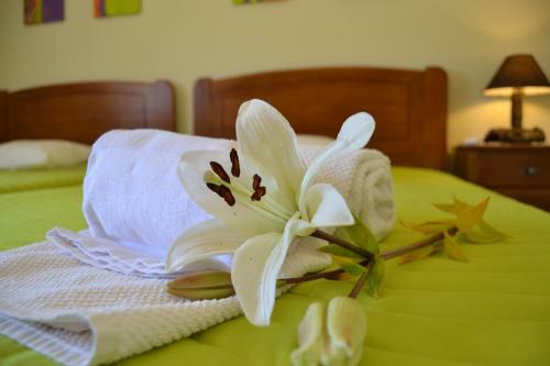 Agroturismo Villa Monte Da Alfarrobeira