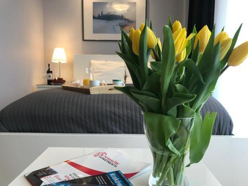 Krak�w Apartments - Friedleina Studio Apartments