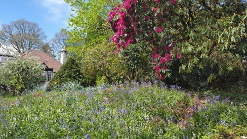 Bed & Breakfast Cruachan House