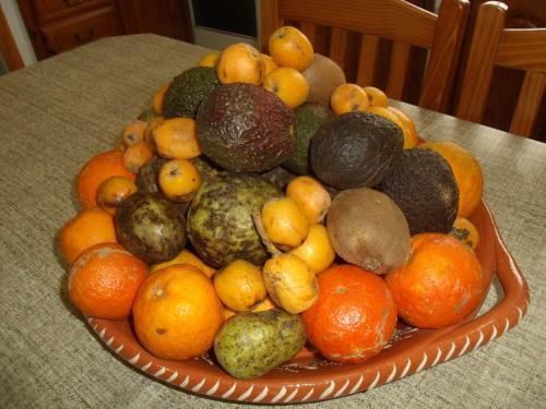 Apartamento Tropical Fruit Garden