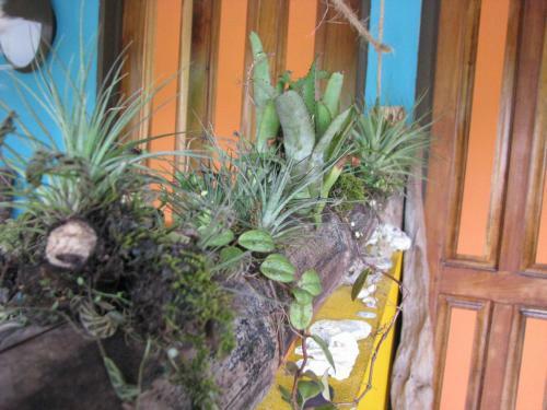 Apartamento Caribbean Comfort