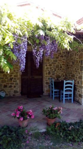 Agroturismo Agriturismo La Chiocciola