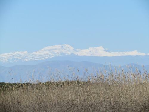 Apartamento Para�so Al Mar