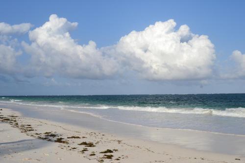 Turtle Bay Bed And Breakfast