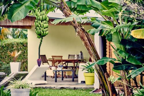 Bed & Breakfast La Villa Des Cannes