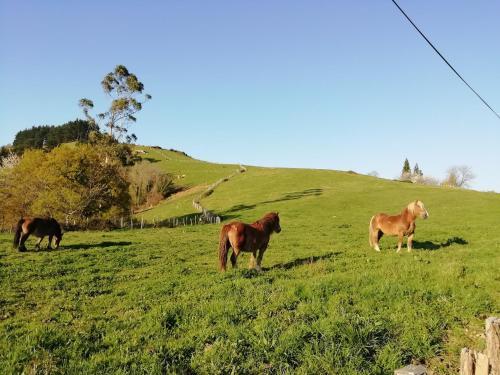 Agroturismo Pagoederraga