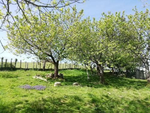 Agroturismo Pagoederraga