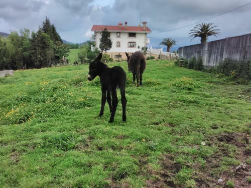 Agroturismo Pagoederraga