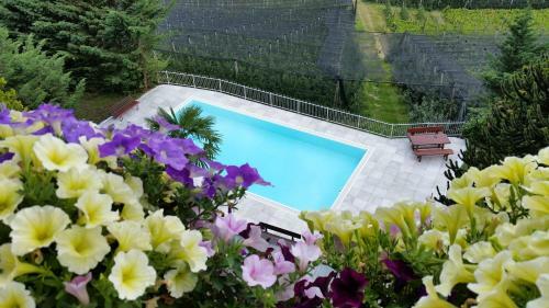 Hostal Pension Weinberg