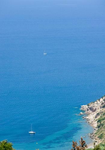 Apartamento Nisportino Domus