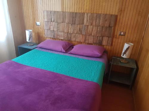 Caba�as Del Lago Huillinco