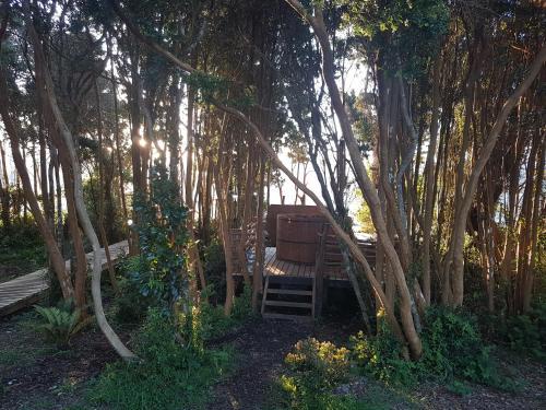 Caba�as Del Lago Huillinco