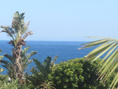 Hostal Oystercatcher Guest House