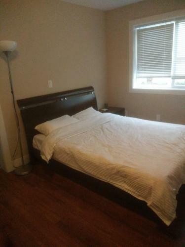 Cozy New One-bedroom Suite