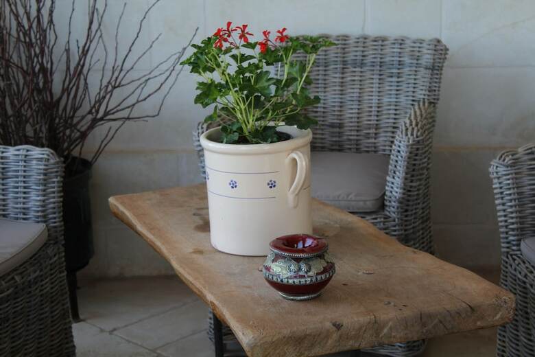 Bed & Breakfast La Suite Nel Bosco