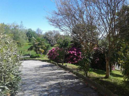 Bed & Breakfast Swanlake Rooms