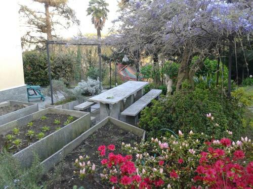 Bed & Breakfast Swanlake Rooms