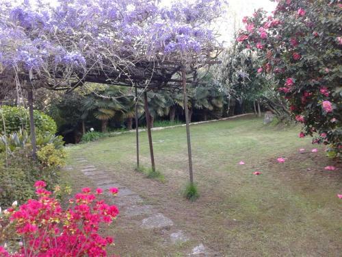 Bed & Breakfast Swanlake Rooms
