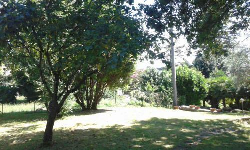 Bed & Breakfast Swanlake Rooms