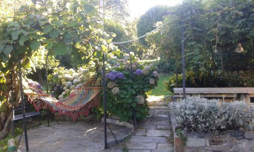Bed & Breakfast Swanlake Rooms
