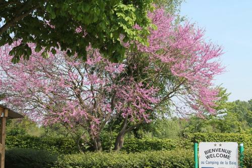 Camping De La Baie