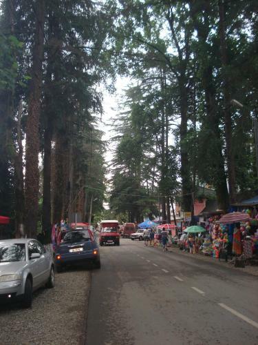 Apartment Zhemchuzhina Ureki