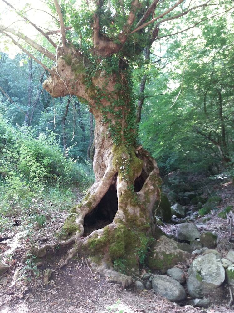 Albergue Host El Greco