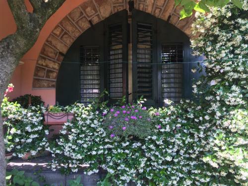 Apartamento Iseo Lake Home Nature & Relax