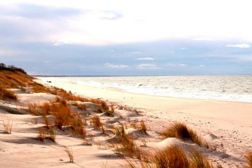 Dom Y Morya Na Tsentralnoi