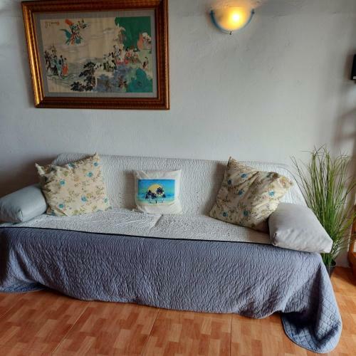 Casita De Gato