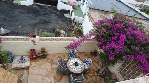 Casita De Gato