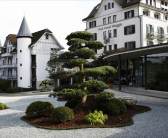 Park Hotel Weggis