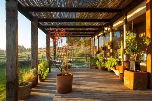 Punta De Lobos House