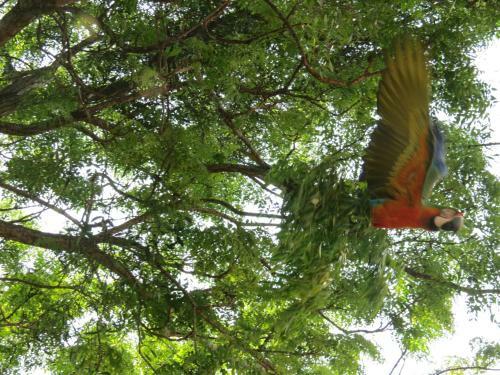 Agroturismo Hotel Fazenda Jaca�na