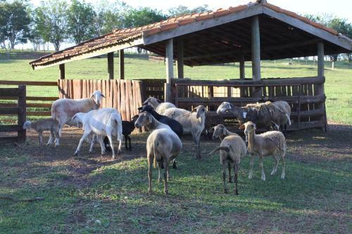 Agroturismo Hotel Fazenda Jaca�na