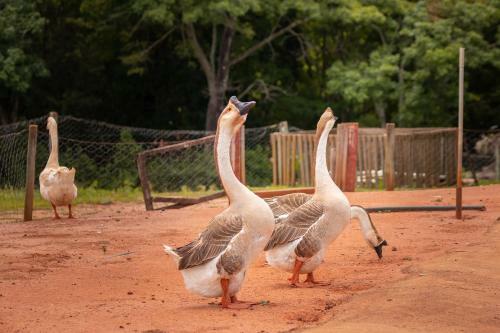 Agroturismo Hotel Fazenda Jaca�na