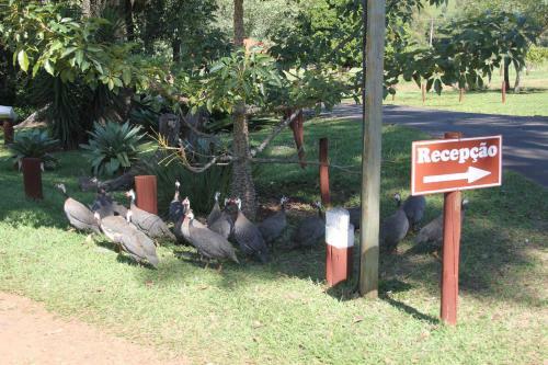 Agroturismo Hotel Fazenda Jaca�na