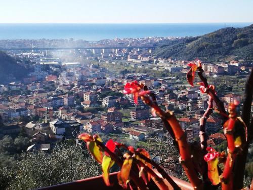 Bed & Breakfast La Terrazza Sui Fieschi