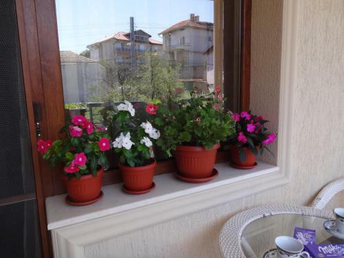 Two-bedroom Apartment With Garden