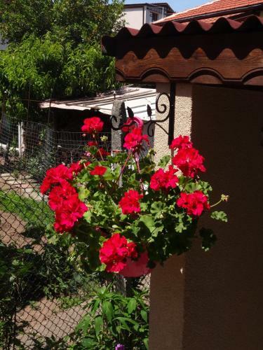 Two-bedroom Apartment With Garden