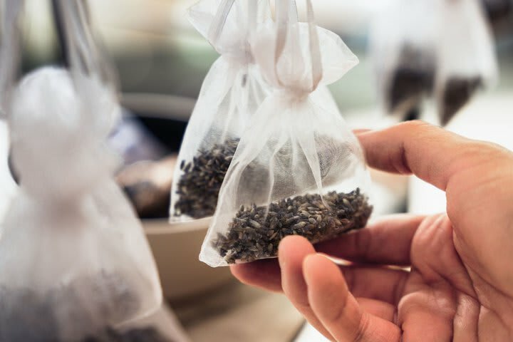 Hotel Vistana Penang