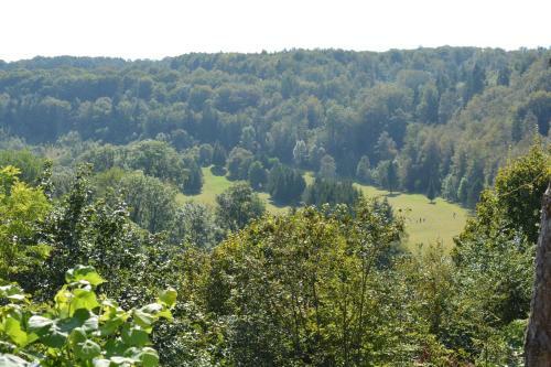 Hostal Hermitage St Roch