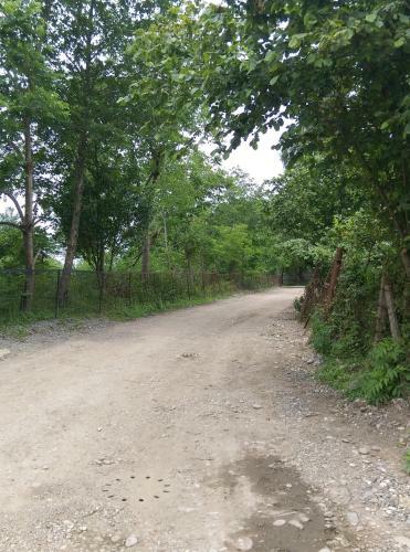 Holiday Home Apsarosi