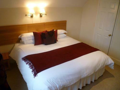 Hostal Treetops Guest House