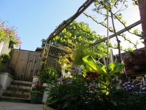 Hostal Treetops Guest House
