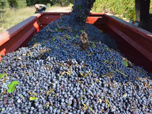 Villa La Maison Du Bonheur