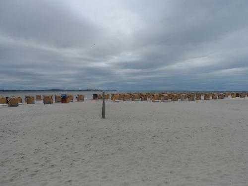 Apartamento Ferienwohnung Ortlieb Laboe
